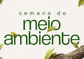 Ecoticket: compre seu ingresso e ajude a reflorestar o Brasil nesta Semana do Meio Ambiente