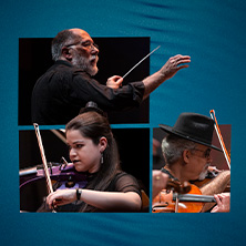 BRASIL JAZZ SINF&Ocirc;NICA APRESENTA CORDAS NO ROCK