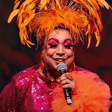 MARIA ALCINA CANTA ROBERTO, ERASMO, TIM MAIA E JORGE BEN JOR  - A TURMA DA TIJUCA